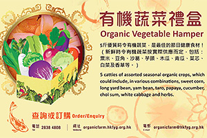 HKFYG's Organic Farm
